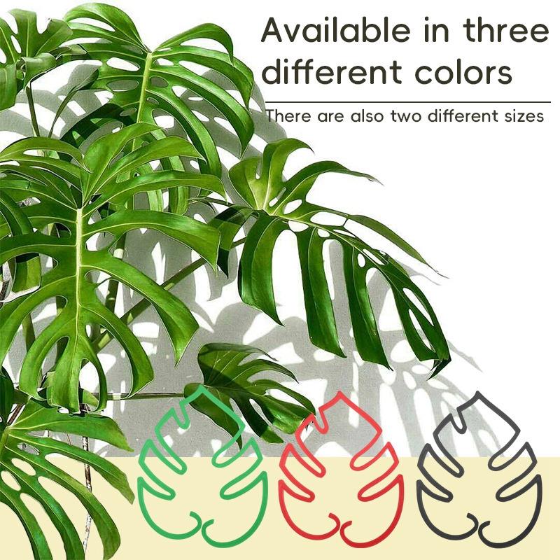 1/2/4Pcs Plant Fixing Clips Plastic  Climbing   Support Frame For Alocasia Monstera Vine  Monstera Shape Plant Fixing Clamp
