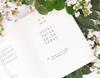 Little Pig Hili Hūlū & Little Poems 4-Book Set (Phonetic Edition)