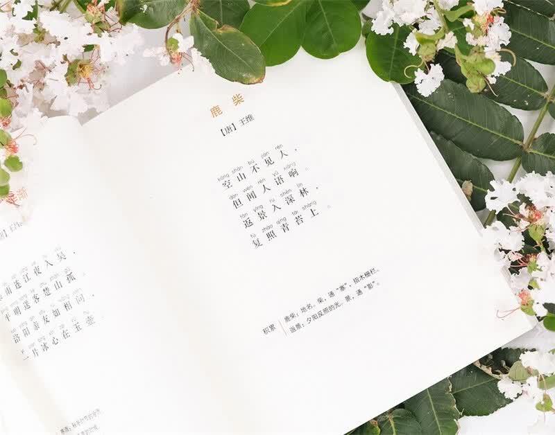 Little Pig Hili Hūlū & Little Poems 4-Book Set (Phonetic Edition)