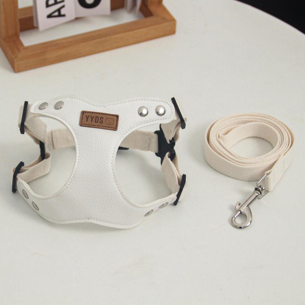 Korean Small Dog PU Leather Harness & Leash for Teddy Bichon