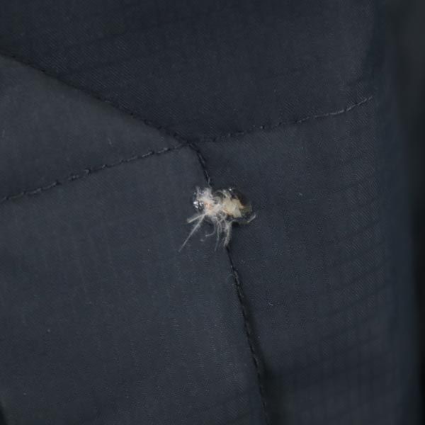 HELLY HANSEN Down jacket XL Black series Logo embroidery Men's Used