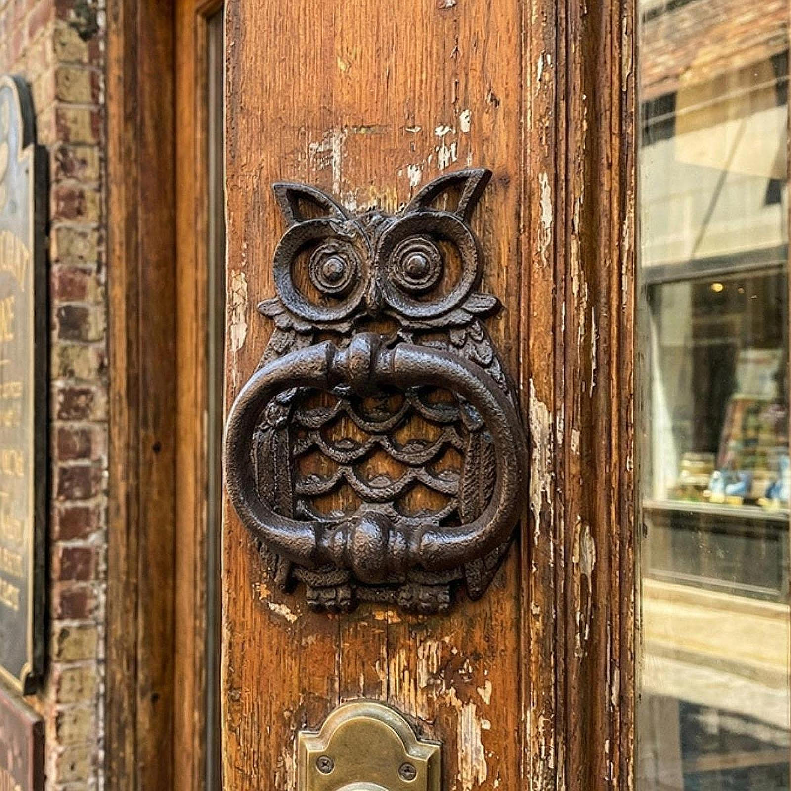 

Owl Door Knocker Sturdy Home Decorative Cabinet Easy Installation Gifts Ornament Multifunctional