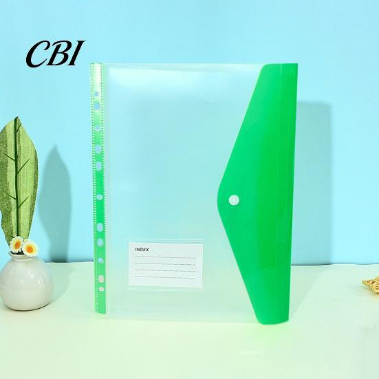 Binder Compatible Folder 11 Hole Clear File for A4 Binders, Colorful Plastic Document with Bag Snap Button & Label Slot, Transparent Project Organizer
