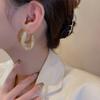 Gold Color Twist Round Earring Fashion Hollow Mesh Crystal Circle Geometric Hoop Earrings For Women Accessories Party Jewelry Gi