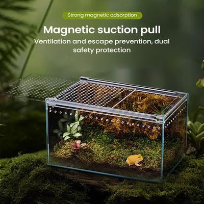 Spider Enclosure Transparent Reptile Enclosure Snake Terrarium for Gecko Snake Frog Chameleon Jumping Spider Enclosure