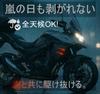 Flames Stickers, 5.9 inches (15 cm), Waterproof, Durable, Aurora Color for Car, Bike, Helmet, Bicycle, Safety Custom Decal Sticker (Black)