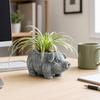 Pig Planter, Pig Shaped Flowerpot, Planter Pots for Indoor Outdoor Plants, Decorative Succulents Pot for Home Yard Garden