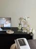 Vintage Style Transparent Crystal Glass Vase for Hydroponic Fresh Flowers - Versatile Chinese Floral Arrangement Vessel