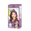 Freshlight Bubble Hair Dye