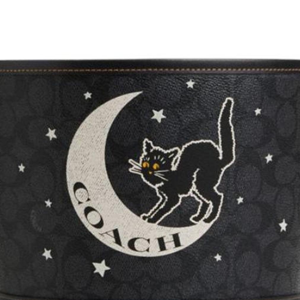 Coach Schultertasche Signatur-Canvas Rosa Leder Lässig Tägliches Tragen CW536-SVPHT