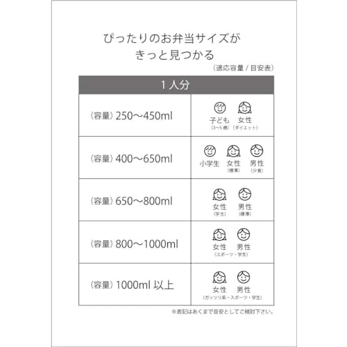 Skater Bento Box 650ml Antibacterial 4 Point Lock Women's Pingu x Seiji Matsumoto Made in Japan YZFL7AG-A