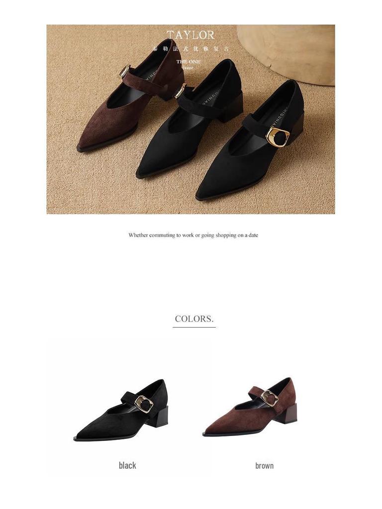 Französische Retro Mary Jane High Heels - Exquisiter Frühling/Herbst 2025 Stil für Damen mit spitzer Zehenpartie, perfekt zu Röcken.