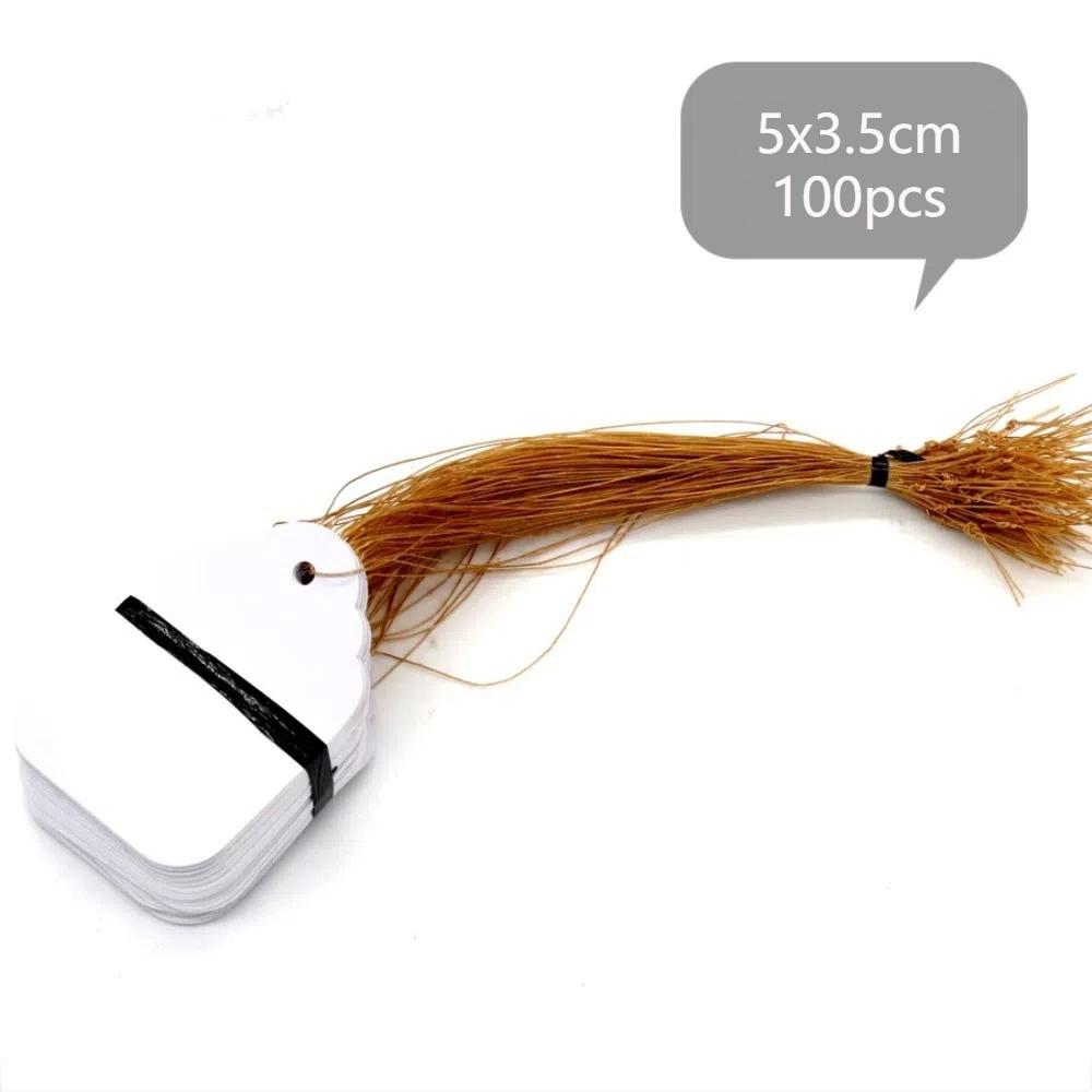 100 шт. Многоразовые ПВХ Подвесные Бирки для Растений с Шнурком Маркеры Садовая Этикетка Садовое Украшение Записываемые Маркеры для Цветочных Горшков Наружные