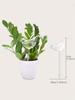 Automatic drip irrigation system bird shaped transparent plastic indoor household garden flowerpot watering device (random)