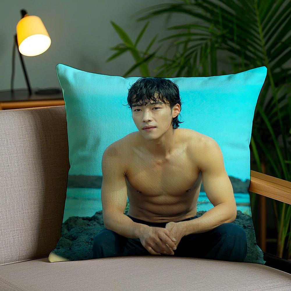 

Woo Do HHwan SINGER Pillow Case Silky Elegant Comfort Sofa Bed Invisible Zipper 30X30cm