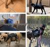 Stützgurt für Hunde für ältere oder behinderte große Hunde: Treppen- und Gehhilfe
