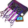8.0 Inch Nimpson Purple 5-Pack, High-End Pet Grooming Scissors, Straight Scissors, Curved Scissors Pet Set
