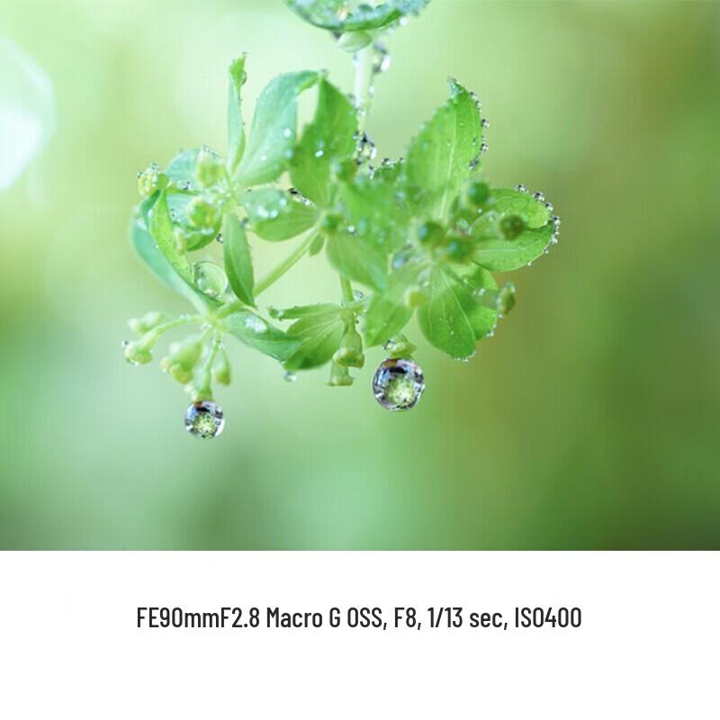 Sony FE 16-35mm F4 Full-Frame E-Mount Zoom Lens (CN version)