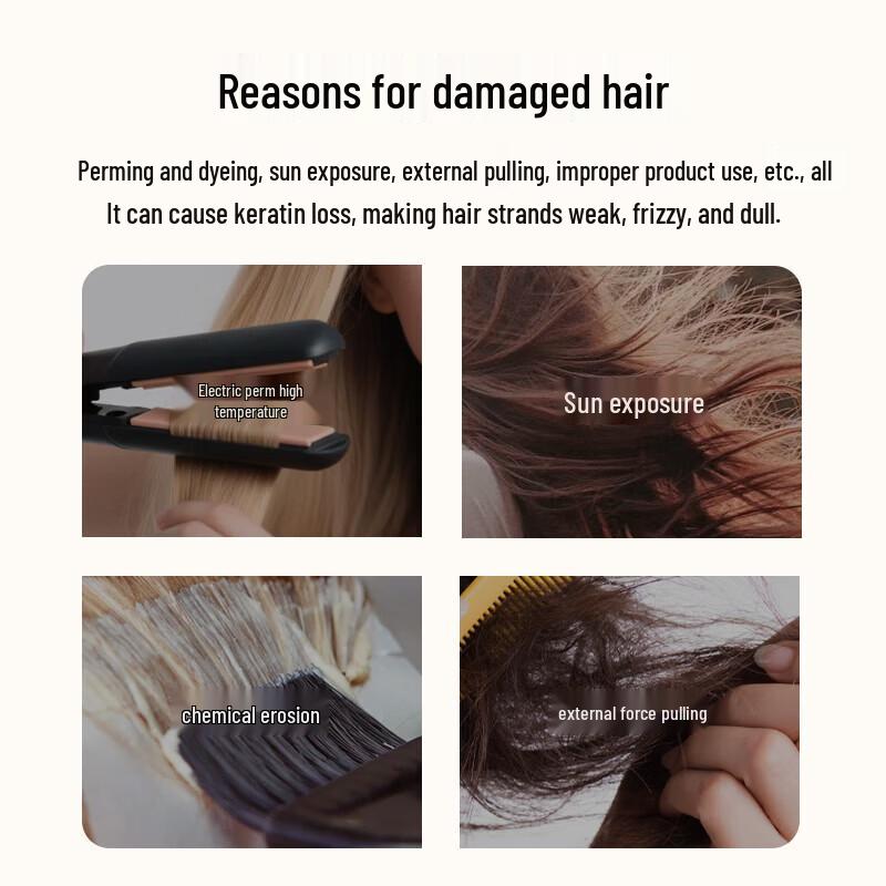 Windsor Forest Winter Festival Cleaning Set