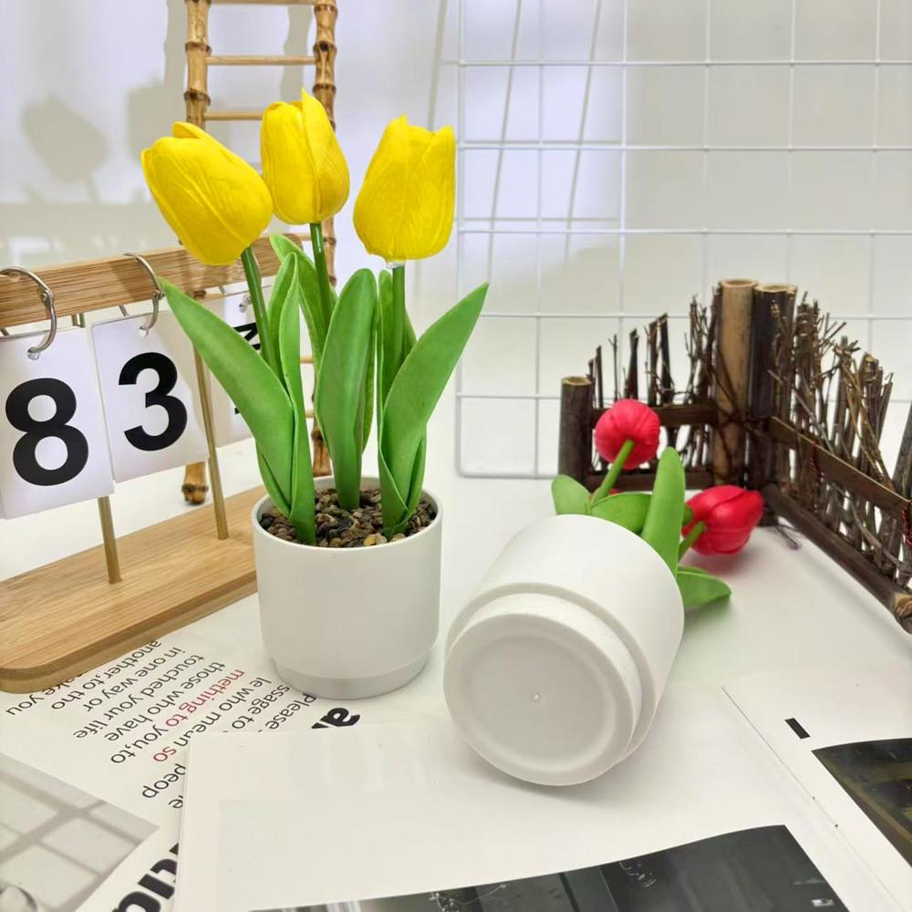 Tulpenblume Grüne Pflanze Flusssteine Bonsai Für Fotografie Und Bürodeko