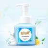 Blue Moon Foaming Hand Soap