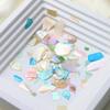 Natural Friendly Shell Nail Art Pieces 6 Color Options Waterproof Glitterings Texture Long Wear Manicure Accessories For Women Girls