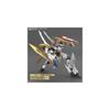 HG Amplified IMGN Ryuuoumaru Color-Coded Plastic Model Kit from Majin Hero Legend Wataru