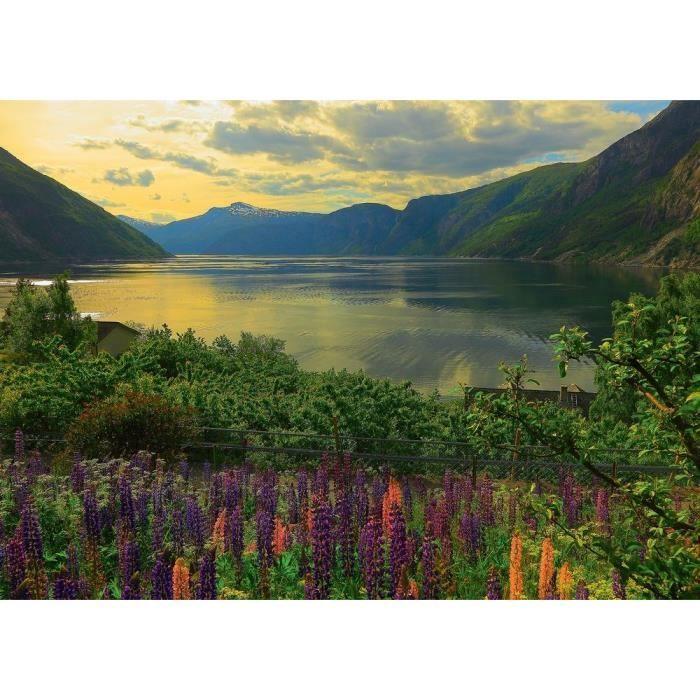 Puzzle 1000 pièces - Ravensburger - Fjord en Norvège - Paysage et nature - Adulte - Intérieur