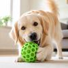 Rubber Dog Sound Ball Interactive Squeaky Dog Toy Easy To Clean Dog Chew Toy  Indoor Play