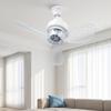 Klimaatelektronica – Ventilatoren