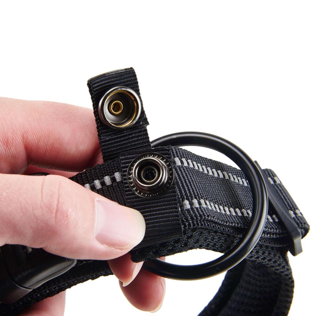 Truelove Reflective Dog Collar with Plastic Clip-in Buckle, High-grade Soft Padded Nylon Webbing, No Choke Basic Collars (XS, Black)