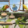 Bird Perch 8-Piece Non-Slip Exercise Branches Parrots Perch Stand for Exercise Chewing Parakeets Cockatiels Conures Lovebirds
