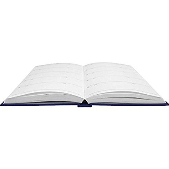 Artemis Constellation NV 5-Year Diary, Design, Blue, DP5-SE