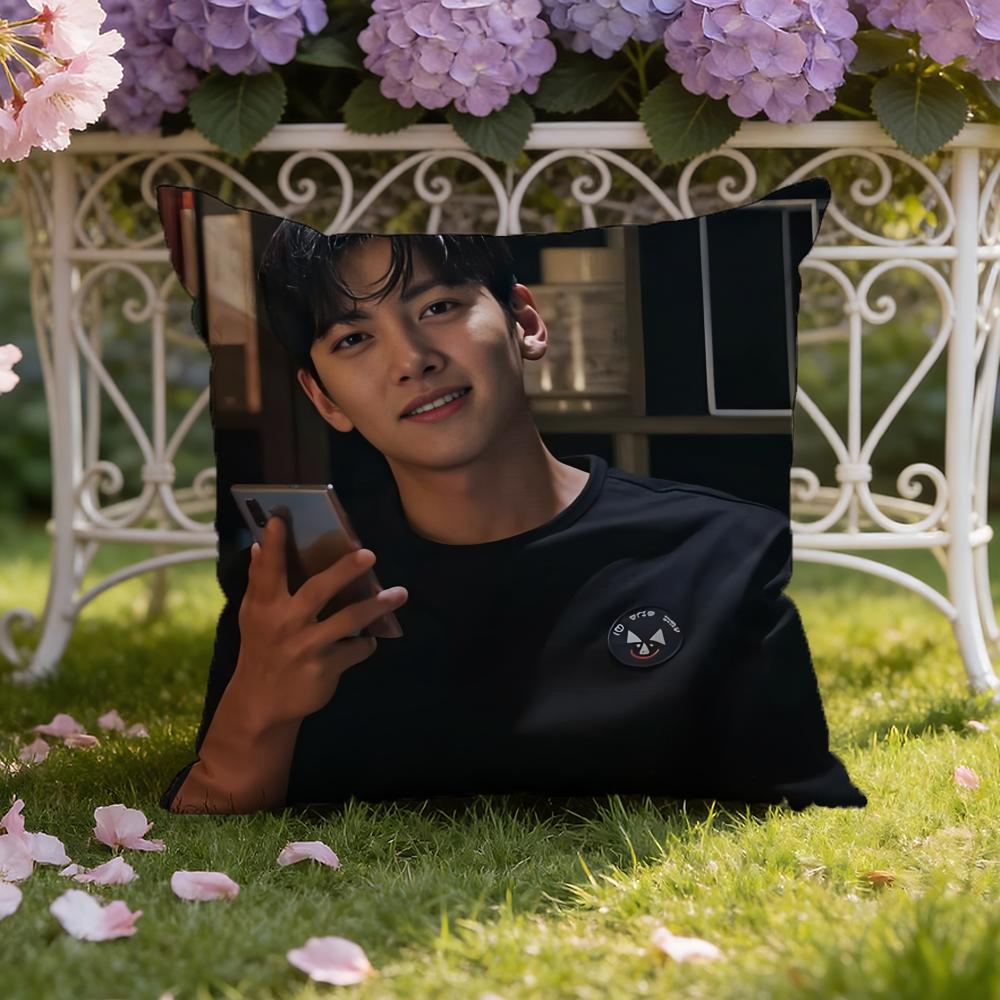 Ji C-Chang W-Wook Cushion Cover Home & Car Dual-Scene Pillow Cover: Reversible for Premium Comfort