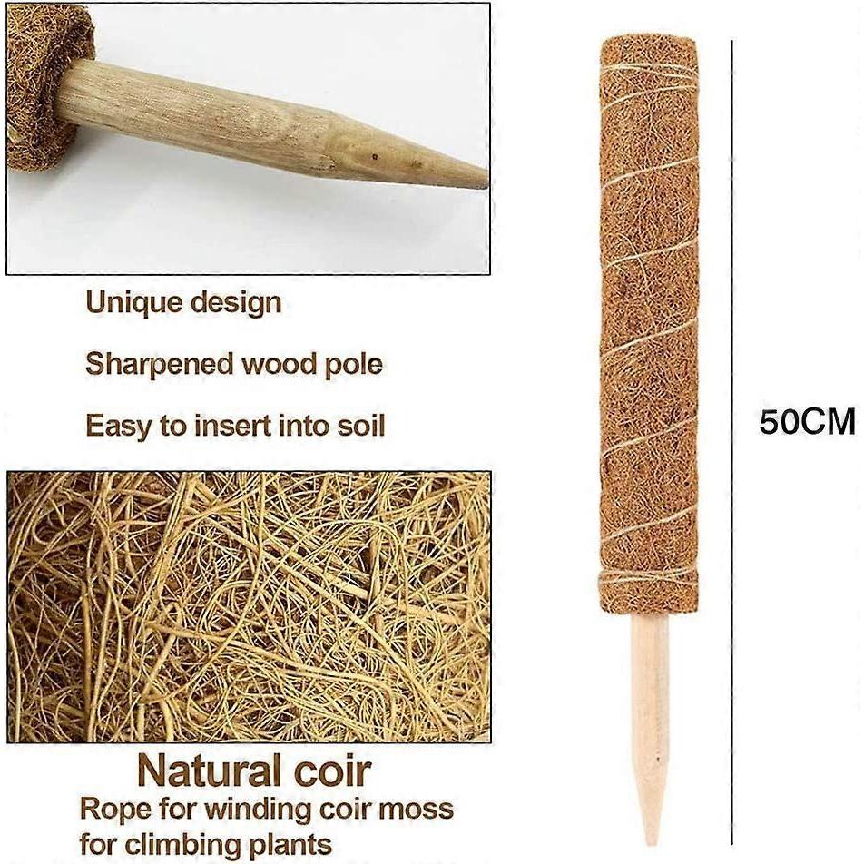 Set of 2 coconut stakes - For climbing plants - Natural coconut fiber - Extendable