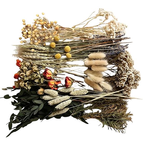 DIY Natural Dried Flower Set Eucalyptus Lavender Wheat Bunny Tails Billy Ball Flower Bouquet with Stems for DIY Crafts Home Wedding Vase Decor