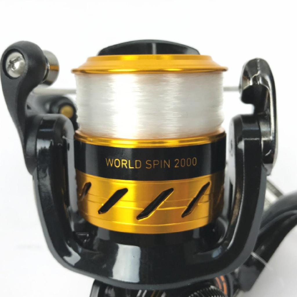 Daiwa Angelrolle 17 World Spin 2000 (DAIWA) (mit Linie) (Modell 2017)