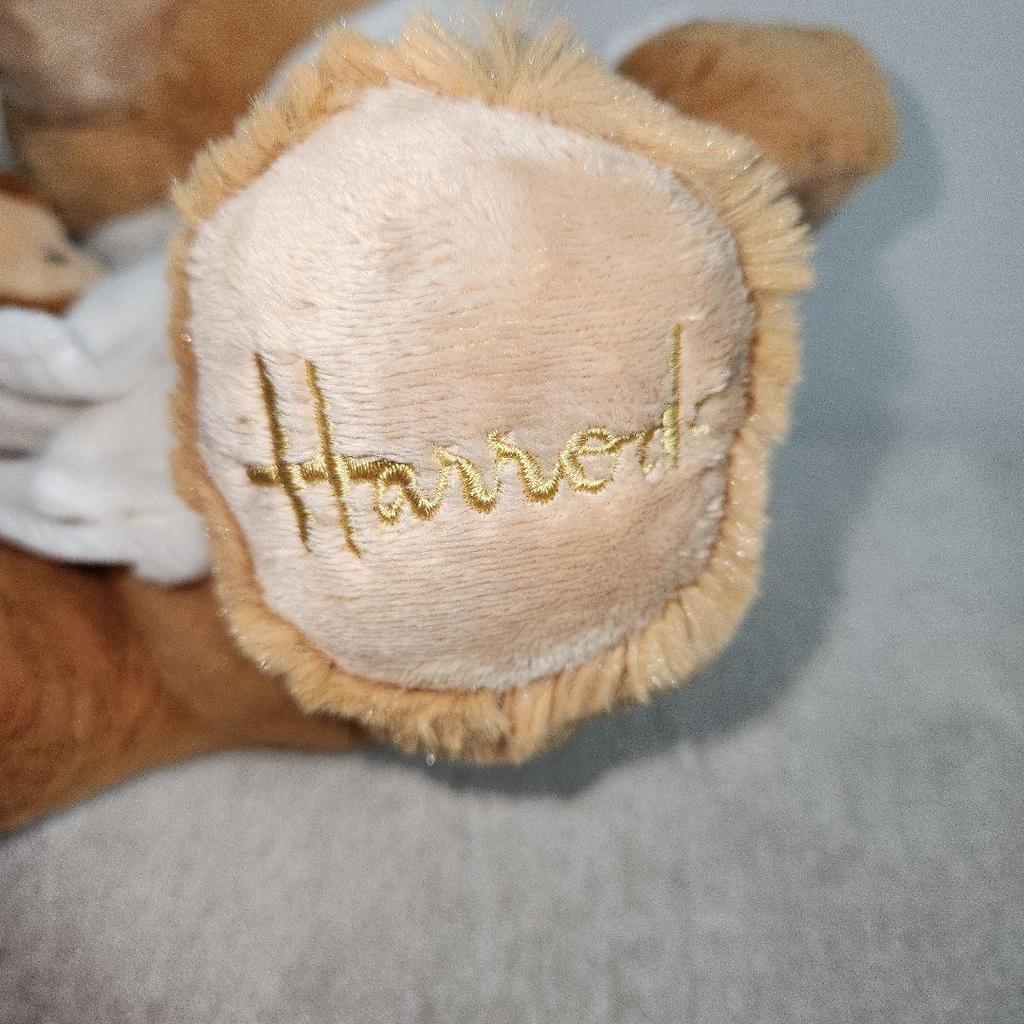[USED] Harrods Bathrobe Teddy Bear