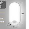 Cool White(5500-7000K) – white