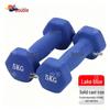 Shuangyu Frosted Dipped Dumbbell