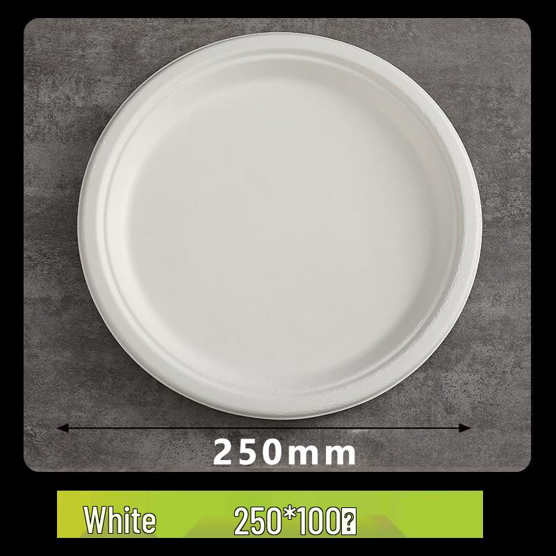 SPSR Disposable Degradable Paper Bowl & Plate Party Set
