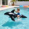 Baby Water Ride On Toy With Thick Plastic For Infant Play And Development