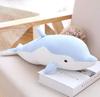 Dolphin Body Pillow - Fluffy and Snuggly, Dream of Swimming with Cute Dolphins In the Ocean (Blue, 70cm)