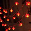 Lucky Character Led String Lights Home Decoration Small Red Lanterns For Holiday