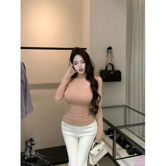 Women's Sheer Mesh Long-Sleeve T-shirt, Spring/Autumn, Half-High Neck Layer, Stylish & Sexy Under Layer.