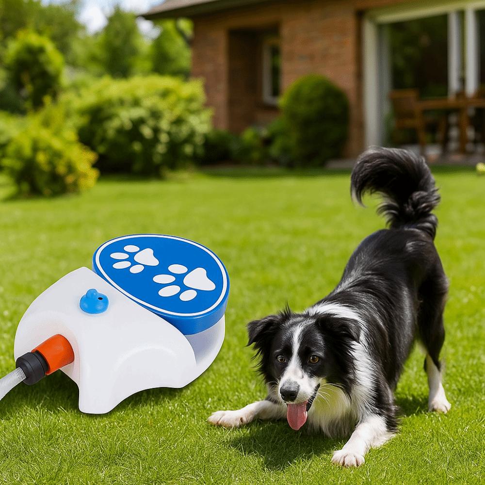 Plastic Step On Water Feeder 2 Water Dispensing Modes Paw Activated Dispenser Dog Drinking