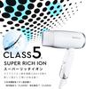 Agetsuya Super Rich Ion Hair Dryer White Large Air Volume Negative Ion AG-0003