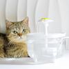 Automatischer Zirkulierender Haustier-Trinkbrunnen USB Elektrisch Leise Katze Hund Trinker Schüssel 1500ml Rezirkulierender Filtrierender Wasserspender