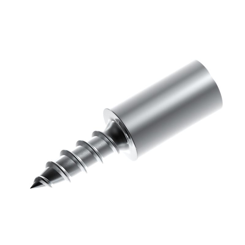 Einteilige selbstschneidende Schraube Regal- und Schrankstütznagel für Trennwand- und Glaszubehör