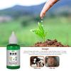 50ml Bitki Canlandırıcı Diriliş Sıvısı Yüksek Konsantre Organik Toprak Bitki Köklenme ve Çelikleme Besin Gübreleme Sıvısı